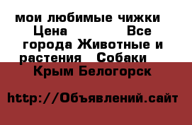 мои любимые чижки › Цена ­ 15 000 - Все города Животные и растения » Собаки   . Крым,Белогорск